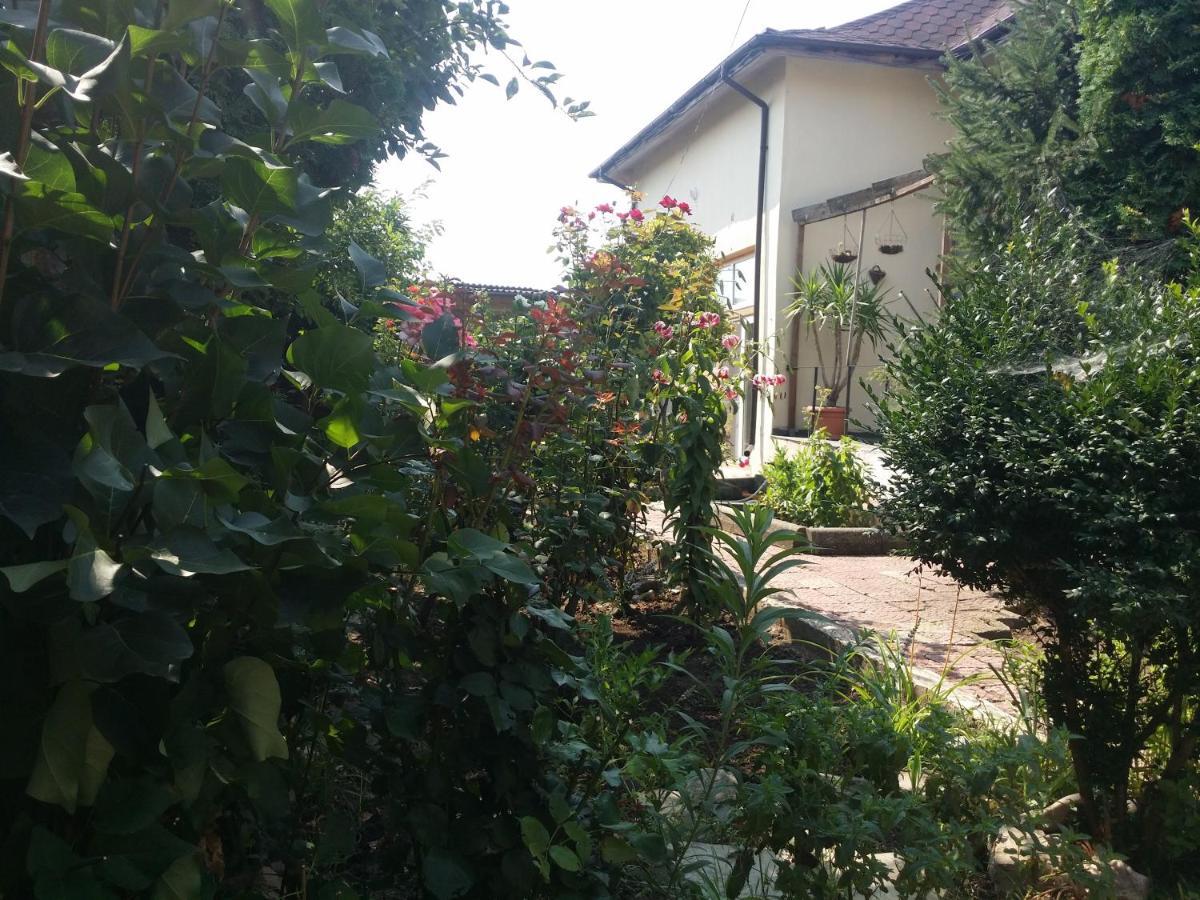 Hotel Casa Trandafirilor Tulcea Exterior foto